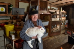 Fritz Bühlmann ist das letzte lebende Gründungsmitglied vom Kaninchenzüchterverein Lotzwil, der Kaninchenzüchterverein, der dieses Jahr seit 60 Jahren besteht. © Thomas Peter